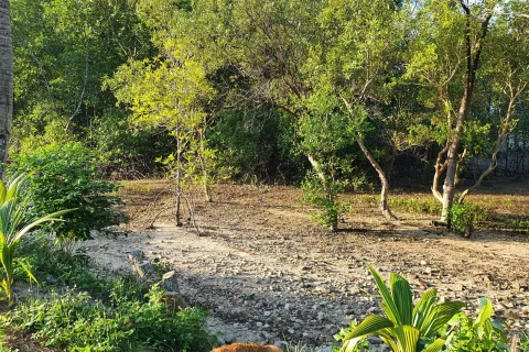 Land in Ao Luek, Thailand 9600 sq.m. № 139217 - photo 15