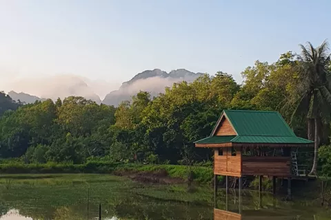 Land in Ao Luek, Thailand 9600 sq.m. № 139217 - photo 2