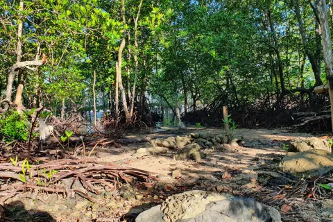 Land in Ao Luek, Thailand 9600 sq.m. № 139217 - photo 9