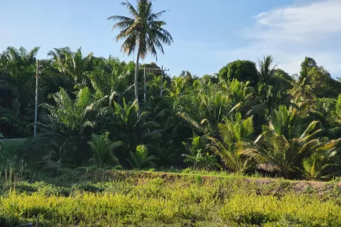 Land in Ao Luek, Thailand 9600 sq.m. № 139217 - photo 10