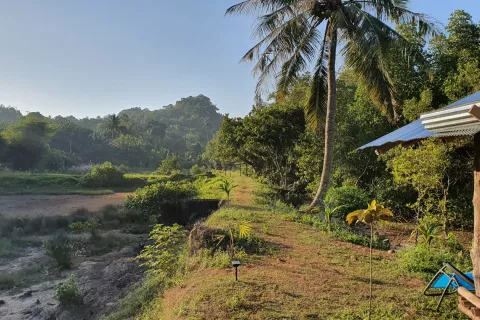 Land in Ao Luek, Thailand 9600 sq.m. № 139217 - photo 8