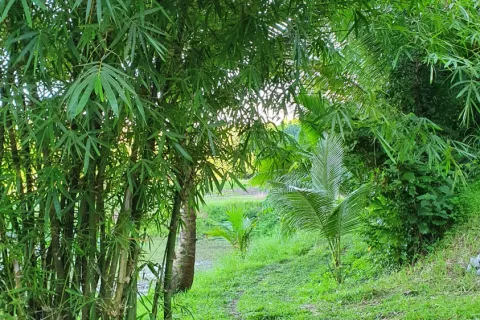 Land in Ao Luek, Thailand 9600 sq.m. № 139217 - photo 18