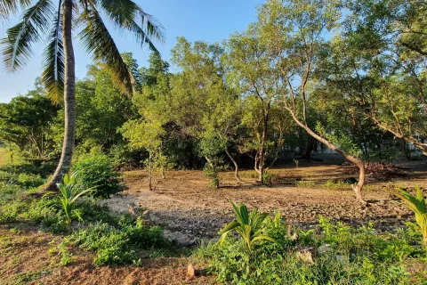 Land in Ao Luek, Thailand 9600 sq.m. № 139217 - photo 16