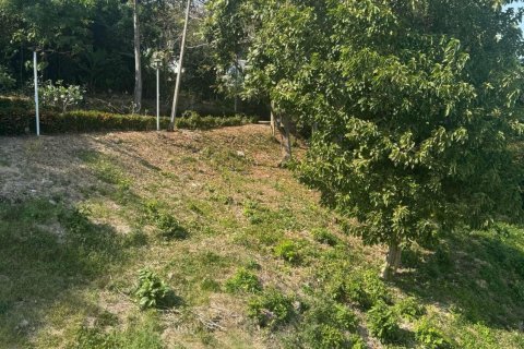 Terrain à Pa Klok, Thaïlande 450 m2 № 153605 - photo 13