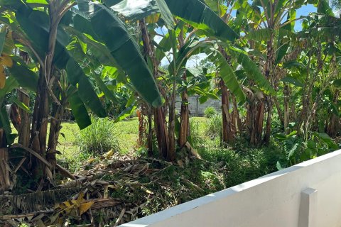 Студия в кондо в Пхукете, Таиланд № 153604 - фото 26