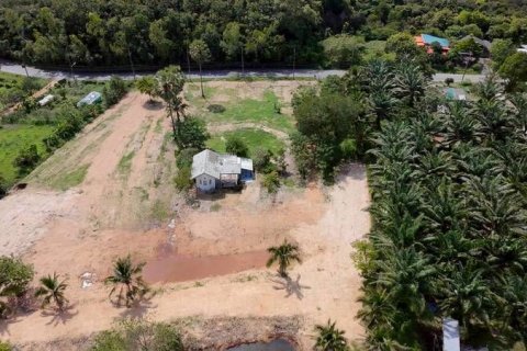 Земельный участок в Пхаттхалунге, Таиланд 6000м2  № 155993 - фото 3