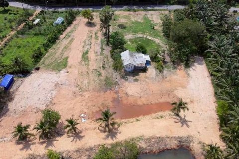 Земельный участок в Пхаттхалунге, Таиланд 6000м2  № 155993 - фото 2