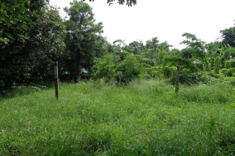Terrain à Lopburi, Thaïlande 7072 m2 № 155990 - photo 11