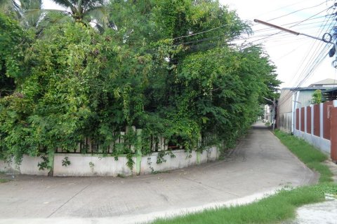 Terrain à Lopburi, Thaïlande 7072 m2 № 155990 - photo 10