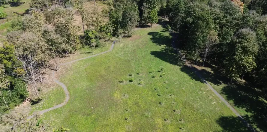 Terrain à Chiang Mai, Thaïlande № 162752