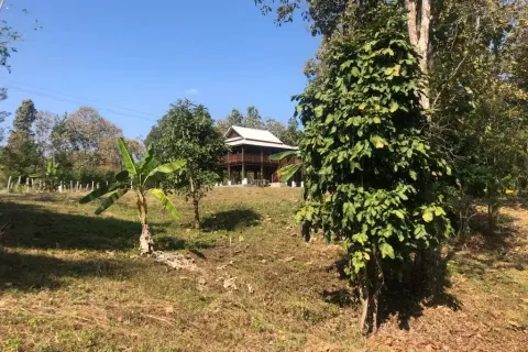 Земельный участок в Чиангмае, Таиланд  № 162752 - фото 7