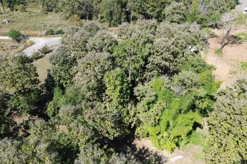 Terrain à Chiang Mai, Thaïlande № 162752 - photo 9