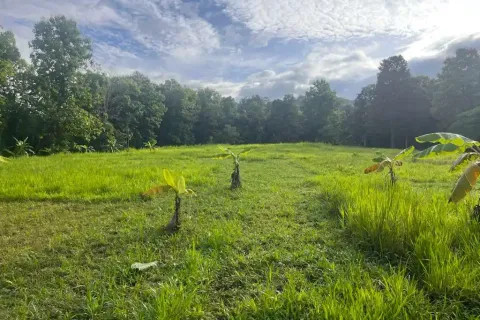 Terrain à Chiang Mai, Thaïlande № 162752 - photo 5
