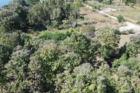 Terrain à Chiang Mai, Thaïlande № 162752 - photo 8