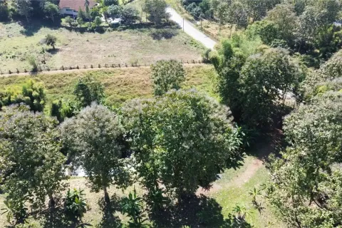 Земельный участок в Чиангмае, Таиланд  № 162752 - фото 3