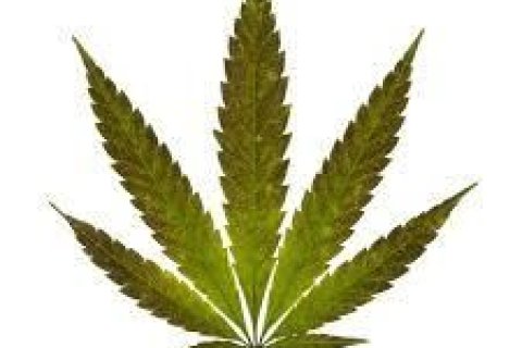 Entrepôt à Buriram, Thaïlande № 147442 - photo 24