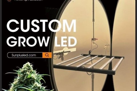 Entrepôt à Buriram, Thaïlande № 147442 - photo 19