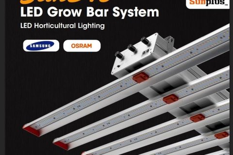 Entrepôt à Buriram, Thaïlande № 147442 - photo 20