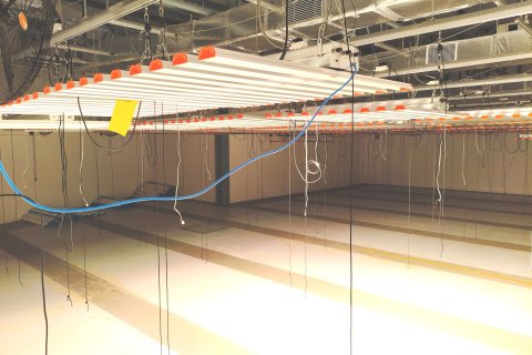 Entrepôt à Buriram, Thaïlande № 147442 - photo 2