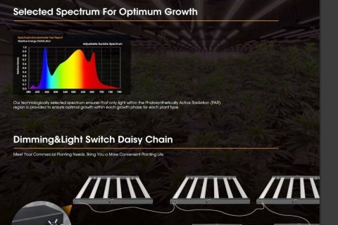 Entrepôt à Buriram, Thaïlande № 147442 - photo 16
