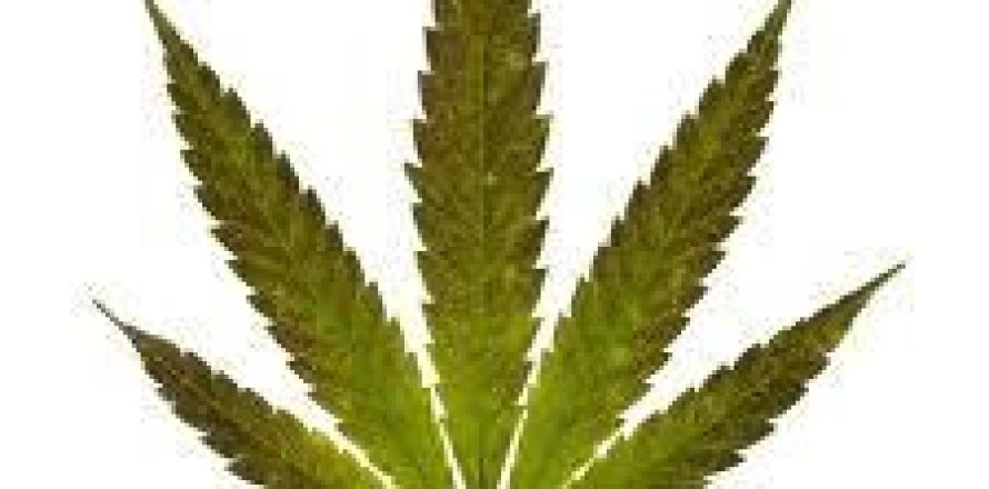 Entrepôt à Buriram, Thaïlande № 147442