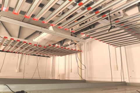 Entrepôt à Buriram, Thaïlande № 147442 - photo 5