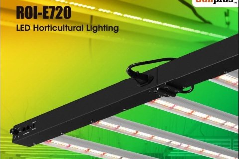 Entrepôt à Buriram, Thaïlande № 147442 - photo 15