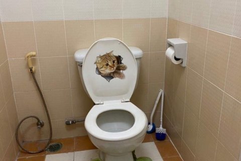 Таунхаус в Хатъяй, Таиланд с 2 спальнями  № 138509 - фото 14