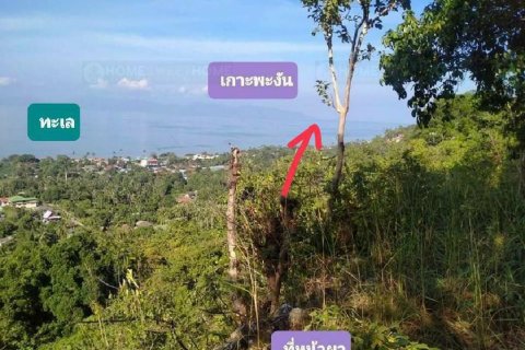Land in Ko Samui, Thailand 16000 sq.m. № 180139 - photo 5