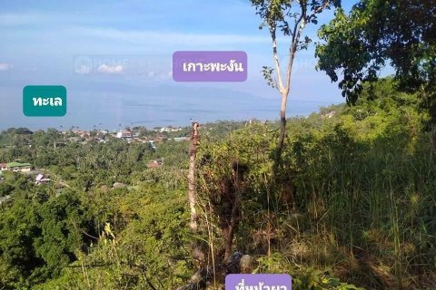 Land in Ko Samui, Thailand 16000 sq.m. № 180139 - photo 4