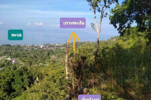 Land in Ko Samui, Thailand 16000 sq.m. № 180139 - photo 6
