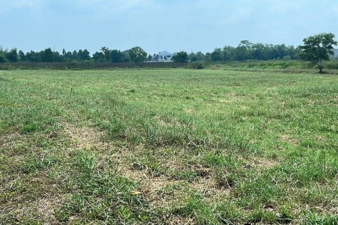 Land in Klaeng, Thailand 41600 sq.m. № 173265 - photo 2