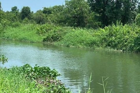 Land in Klaeng, Thailand 41600 sq.m. № 173265 - photo 3