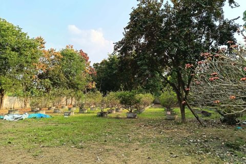 House in San Kamphaeng, Thailand 4 bedrooms № 171631 - photo 11