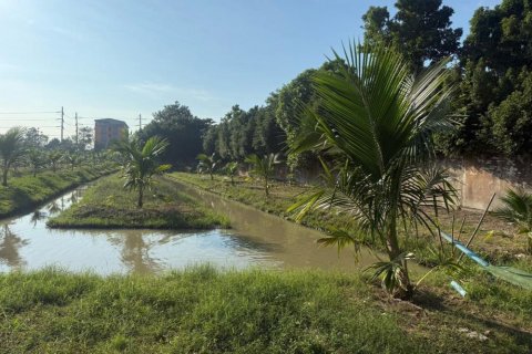 Land in Krathum Baen, Thailand 1166 sq.m. № 159135 - photo 3