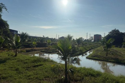 Land in Krathum Baen, Thailand 1166 sq.m. № 159135 - photo 2