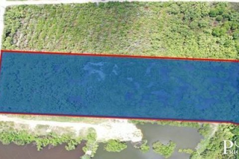 Terrain à Samut Sakhon, Thaïlande 19200 m2 № 159136 - photo 7