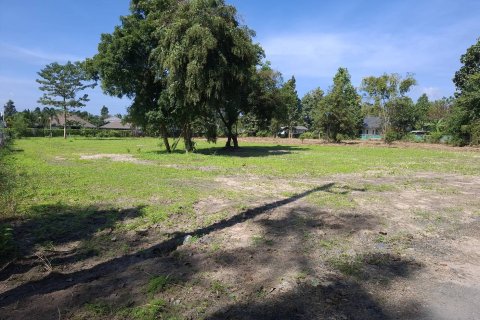 Terrain à Hang Dong, Thaïlande 3048 m2 № 159139 - photo 4