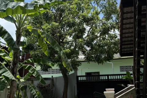 House in Saraphi, Thailand 2 bedrooms № 151930 - photo 3