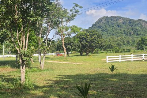 Land in Pattaya, Thailand 32000 sq.m. № 158008 - photo 5