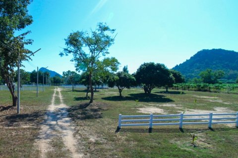 Land in Pattaya, Thailand 32000 sq.m. № 158008 - photo 4