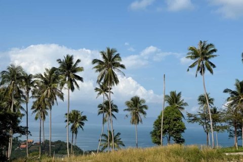 Terrain à Ko Samui, Thaïlande 1200 m2 № 161740 - photo 4