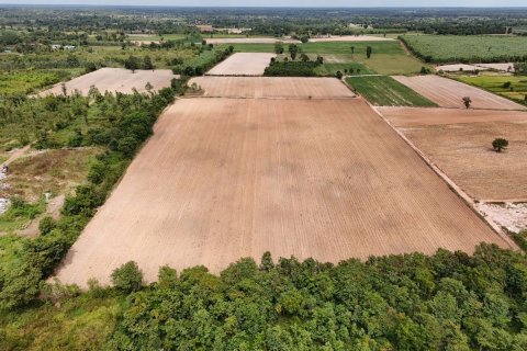 Land in Udon Thani, Thailand 48000 sq.m. № 138631 - photo 1