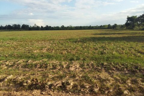 Land in Udon Thani, Thailand 48000 sq.m. № 138631 - photo 3