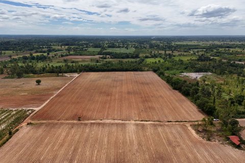 Land in Udon Thani, Thailand 48000 sq.m. № 138631 - photo 2