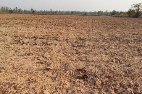 Land in Udon Thani, Thailand 48000 sq.m. № 138631 - photo 4