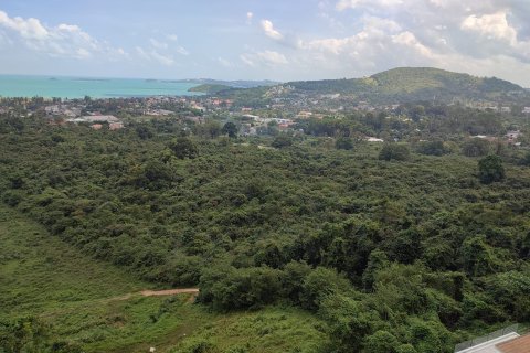 Земельный участок в Самуи, Таиланд 19200м2  № 148552 - фото 3