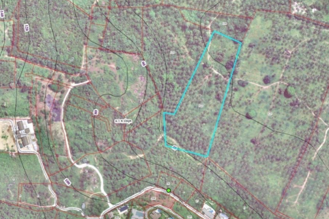 Земельный участок в Самуи, Таиланд 19200м2  № 148552 - фото 8