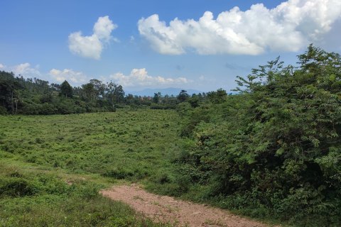Земельный участок в Самуи, Таиланд 19200м2  № 148552 - фото 5