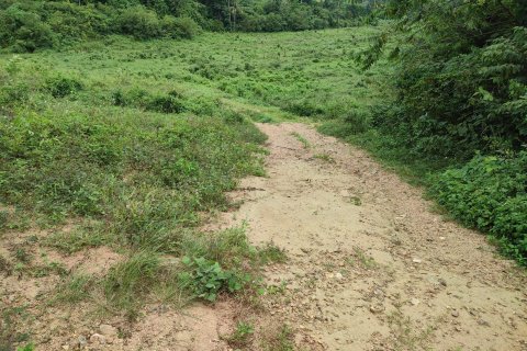 Земельный участок в Самуи, Таиланд 19200м2  № 148552 - фото 6